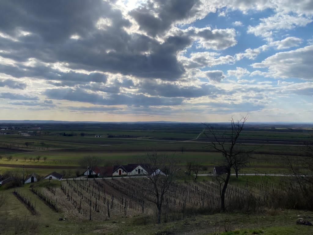 © Andrea Uhl LK NÖ © Andrea Uhl LK NÖ