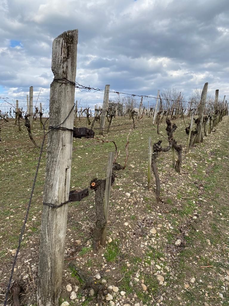 © Andrea Uhl LK NÖ © Andrea Uhl LK NÖ