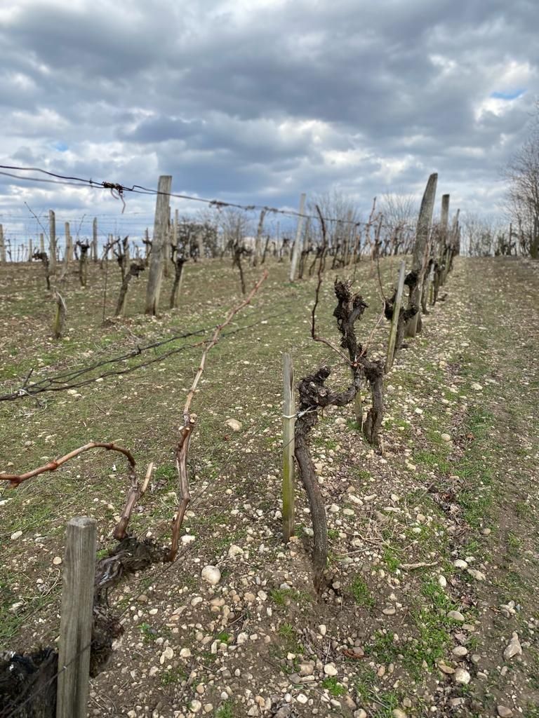 © Andrea Uhl LK NÖ © Andrea Uhl LK NÖ