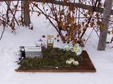 Garten im Schnee.jpg © Gudrun Dürnberger