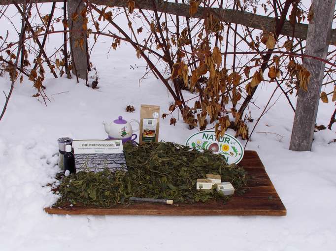 Garten im Schnee.jpg © Gudrun Dürnberger Garten im Schnee.jpg © Gudrun Dürnberger