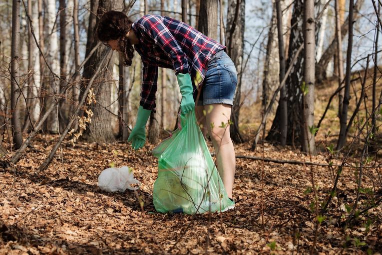 Müllsammeln im Wald.jpg