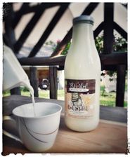Natmessnig Rohmilch.jpg © LK Kärnten/Stefan Kopeinig