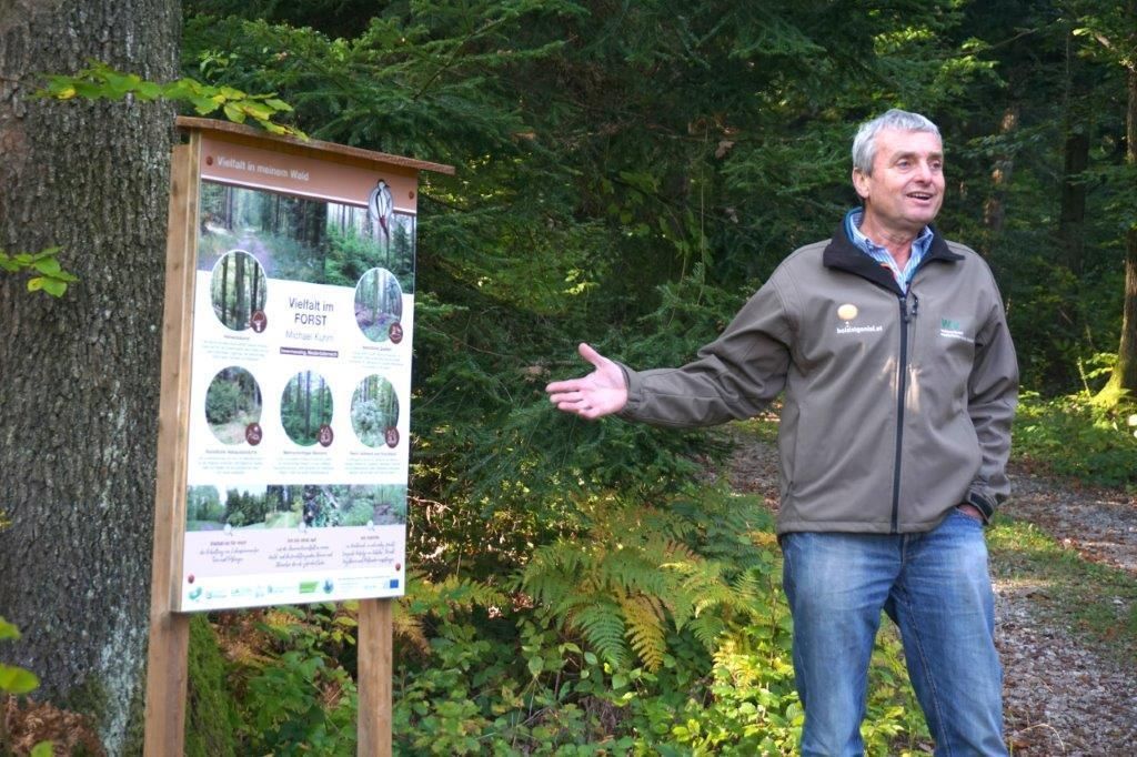 Biodiversität im Wald.jpg © Stephanie Köttl Biodiversität im Wald.jpg © Stephanie Köttl