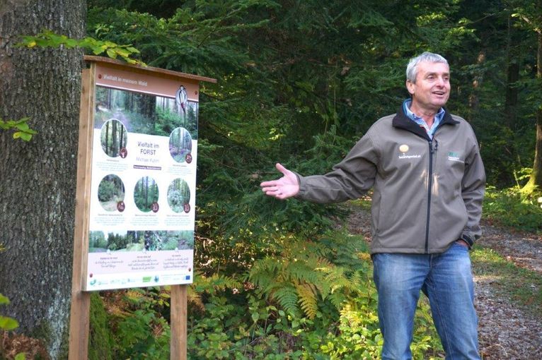 Biodiversität im Wald.jpg © Stephanie Köttl Biodiversität im Wald.jpg © Stephanie Köttl