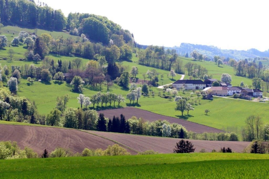 © Martina Oberleitner © Martina Oberleitner