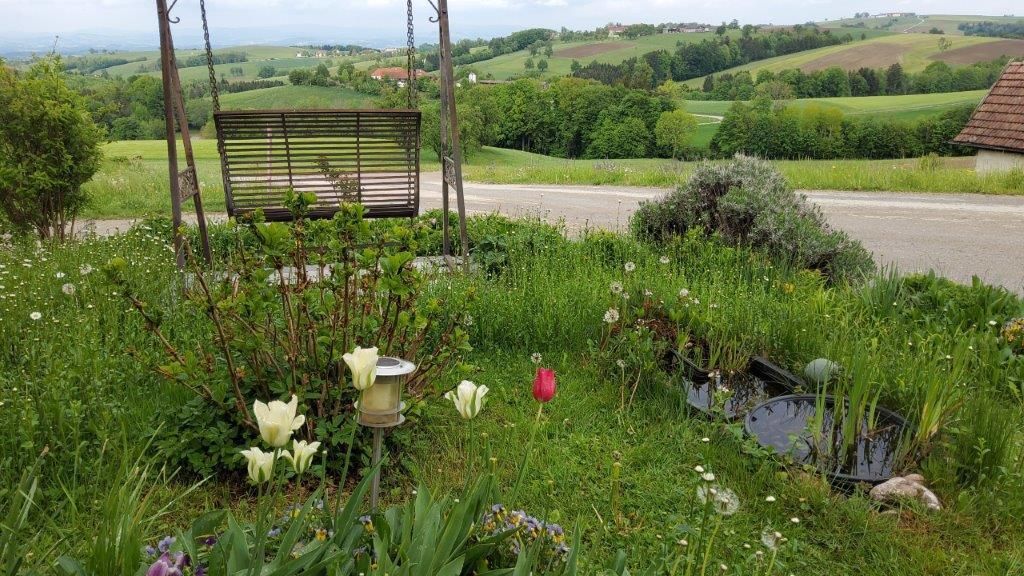 © Martina Oberleitner © Martina Oberleitner