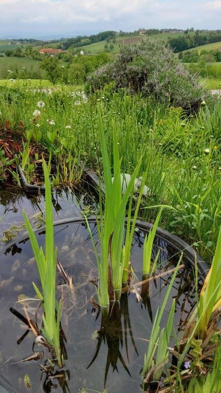 © Martina Oberleitner © Martina Oberleitner