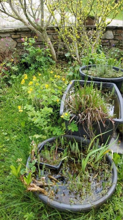 © Martina Oberleitner © Martina Oberleitner