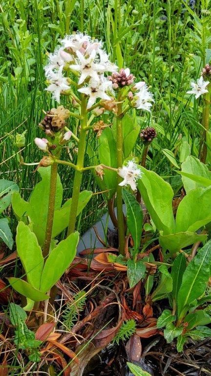 © Martina Oberleitner © Martina Oberleitner