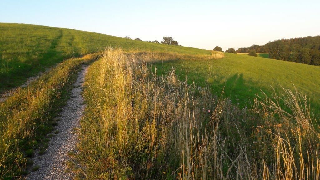 © Martina Oberleitner © Martina Oberleitner