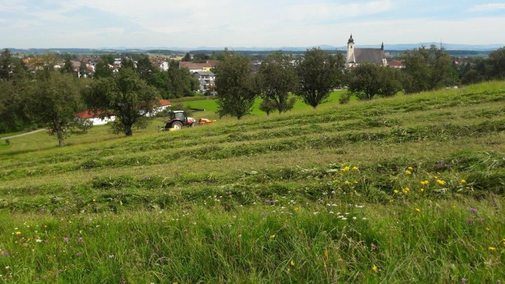 © Martina Oberleitner © Martina Oberleitner