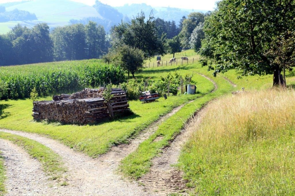 © Martina Oberleitner © Martina Oberleitner