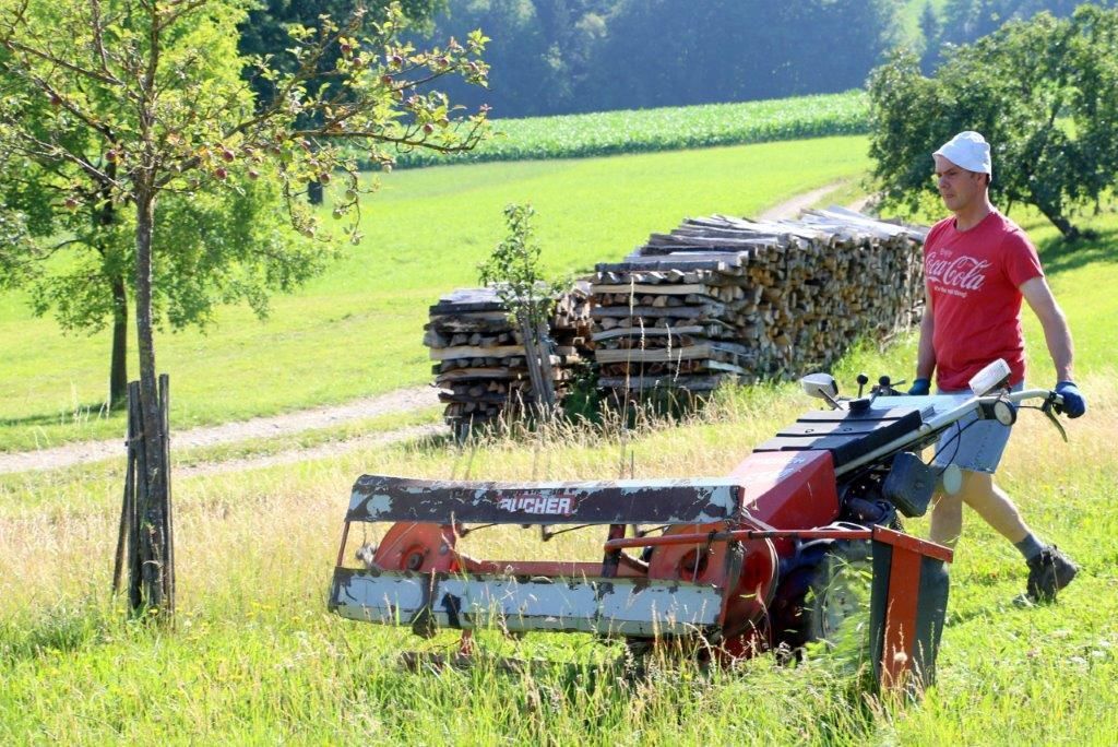 © Martina Oberleitner © Martina Oberleitner