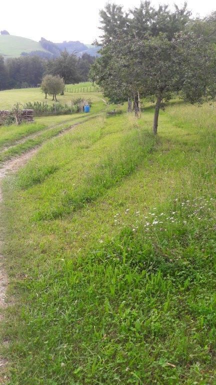 © Martina Oberleitner © Martina Oberleitner