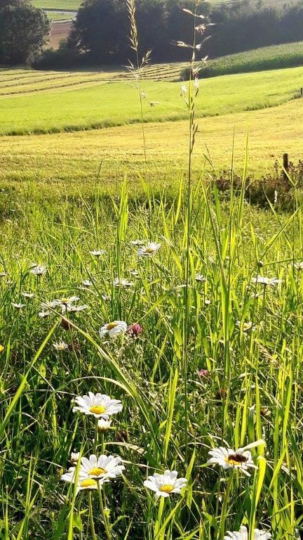 © Martina Oberleitner © Martina Oberleitner