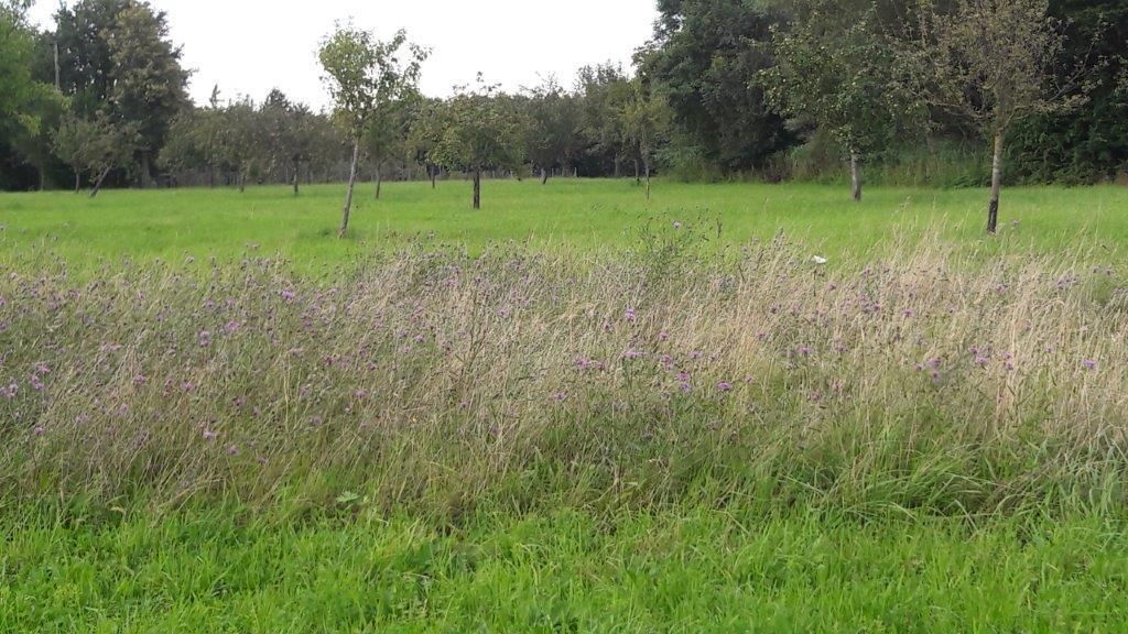 © Martina Oberleitner © Martina Oberleitner