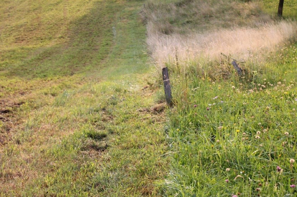 © Martina Oberleitner © Martina Oberleitner