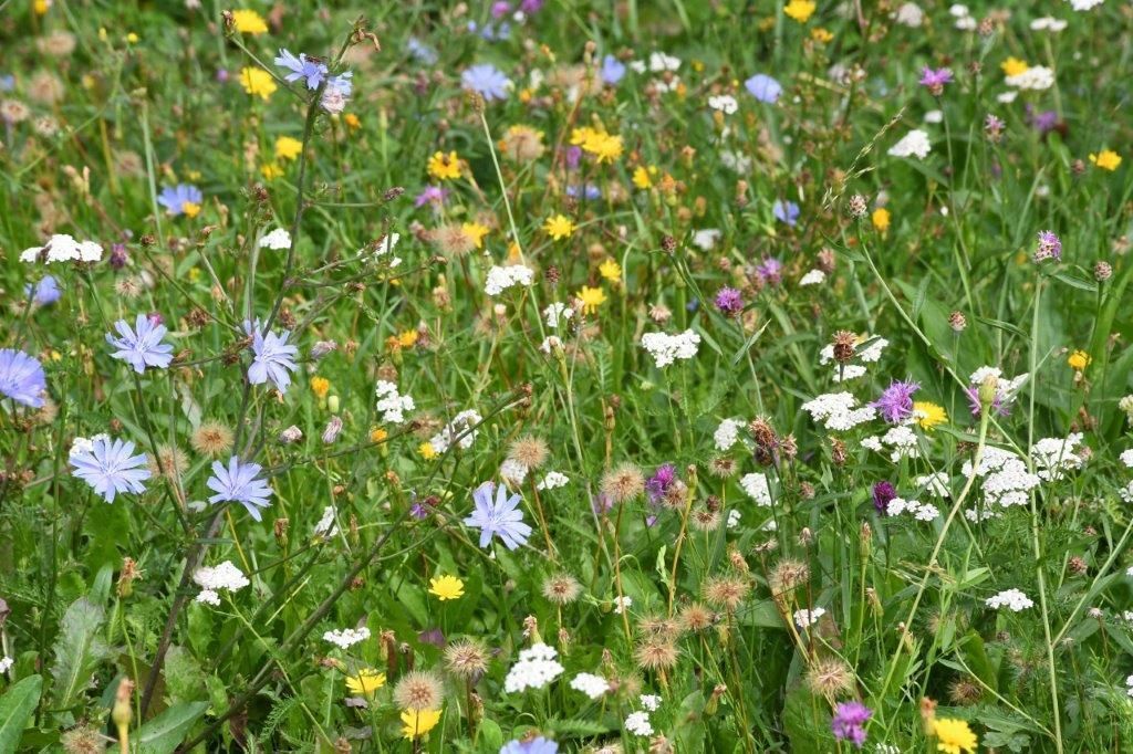 © Martina Oberleitner © Martina Oberleitner