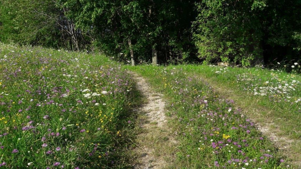 © Martina Oberleitner © Martina Oberleitner