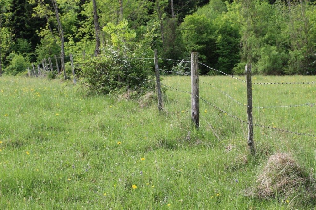 © Martina Oberleitner © Martina Oberleitner