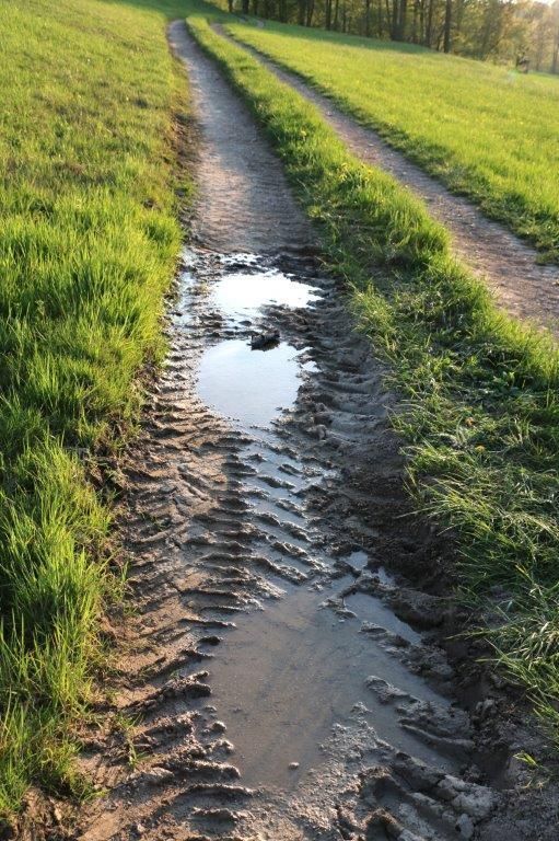 © Martina Oberleitner © Martina Oberleitner