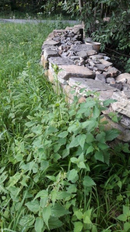 © Martina Oberleitner © Martina Oberleitner