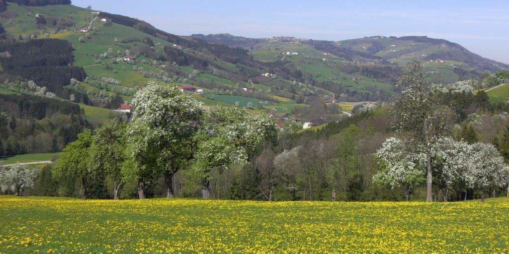 Biodiversität Mostviertel (Blick auf Kürnberg)  im Frühling 2012 Schübl.jpg