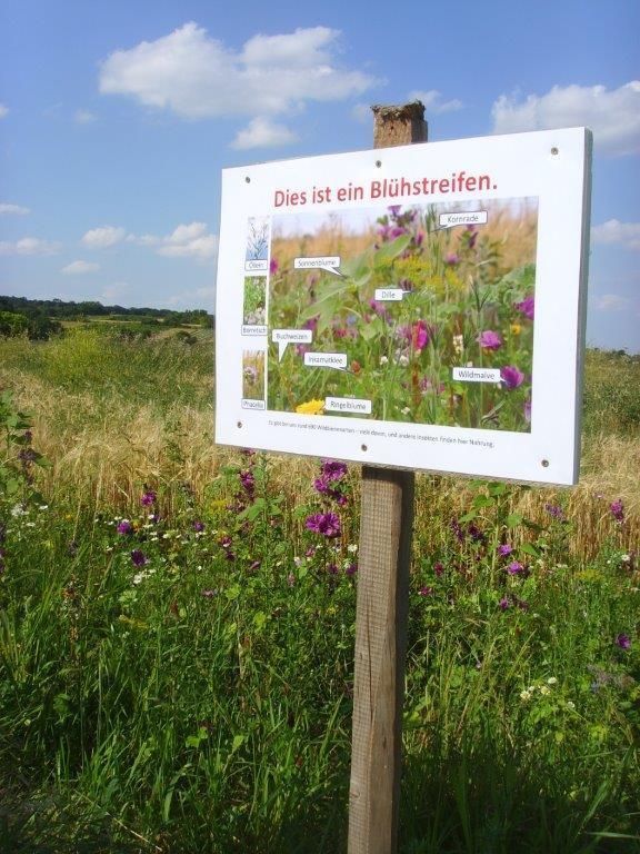 © Johann Sperber/LK Niederösterreich © Johann Sperber/LK Niederösterreich