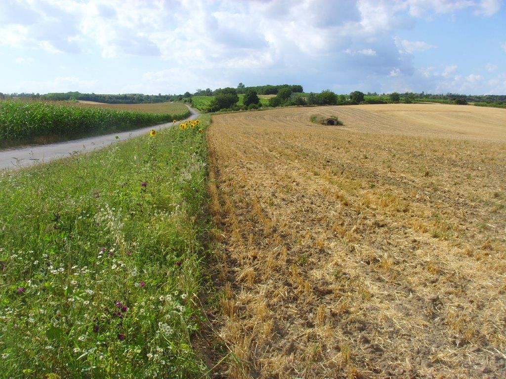© Johann Sperber/LK Niederösterreich © Johann Sperber/LK Niederösterreich