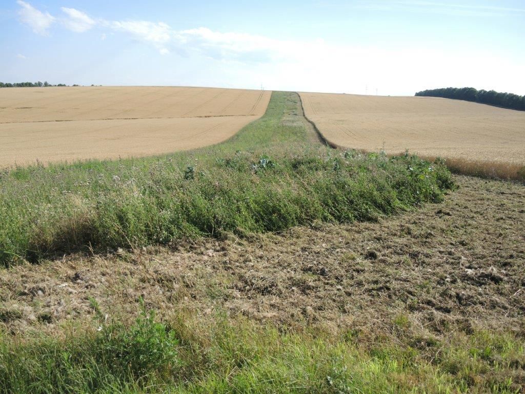 © Johann Sperber/LK Niederösterreich © Johann Sperber/LK Niederösterreich