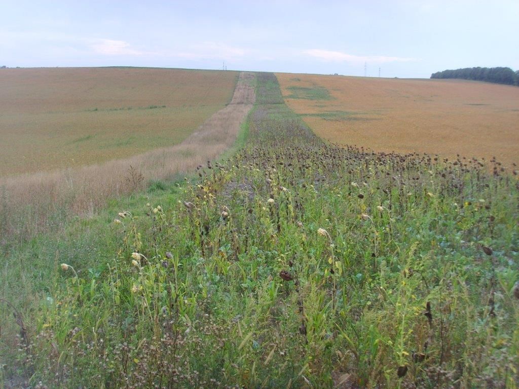 © Johann Sperber/LK Niederösterreich © Johann Sperber/LK Niederösterreich