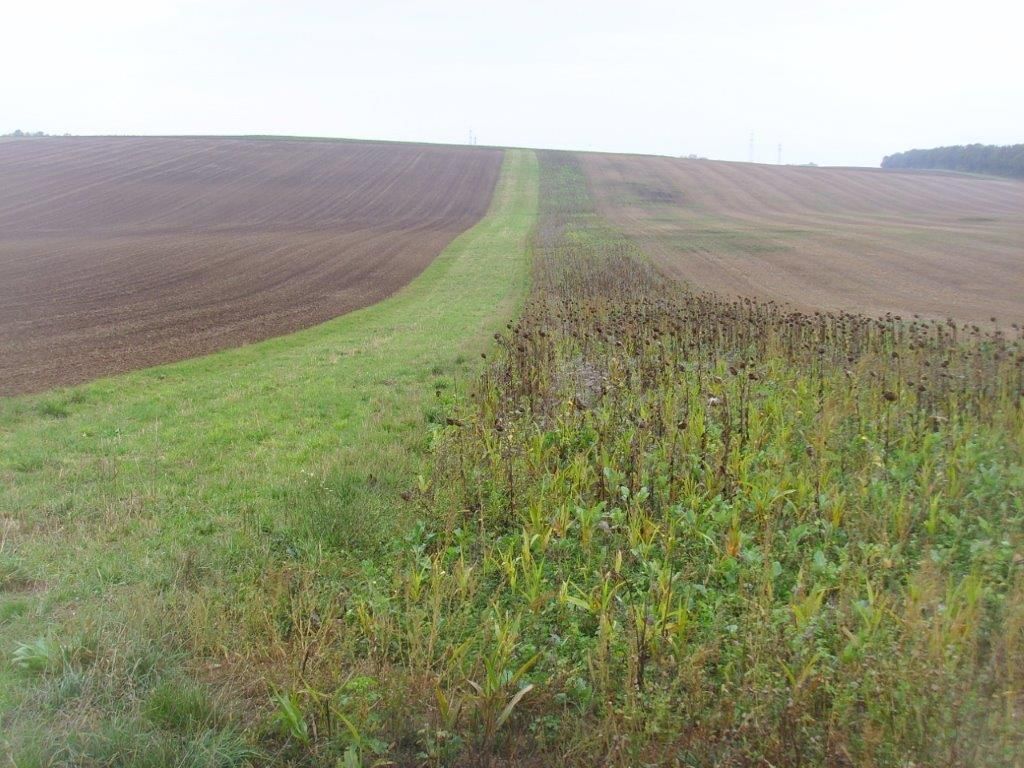 © Johann Sperber/LK Niederösterreich © Johann Sperber/LK Niederösterreich