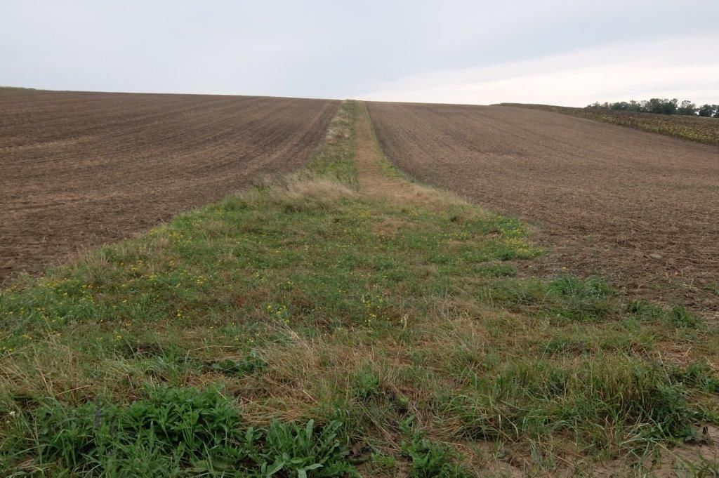 © Johann Sperber/LK Niederösterreich © Johann Sperber/LK Niederösterreich
