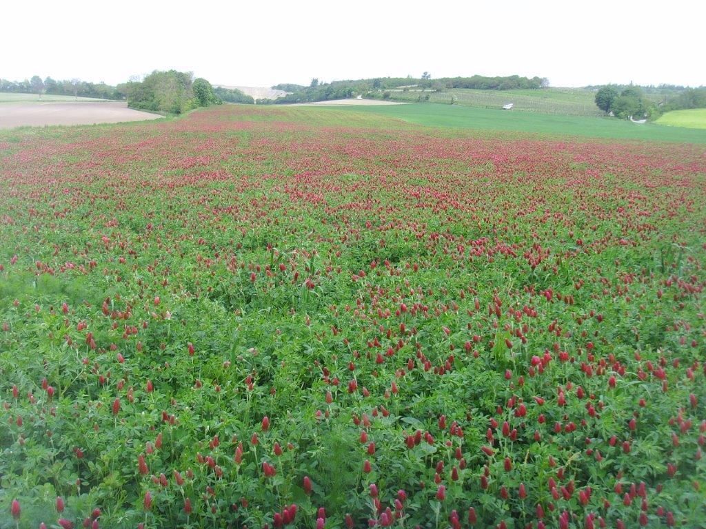 © Johann Sperber/LK Niederösterreich © Johann Sperber/LK Niederösterreich