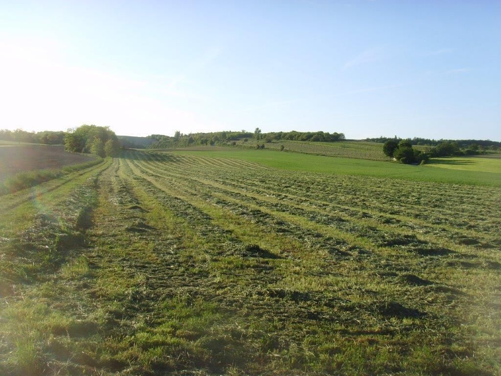 © Johann Sperber/LK Niederösterreich © Johann Sperber/LK Niederösterreich