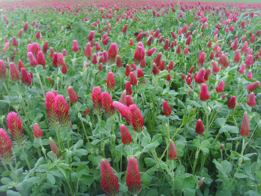 © Johann Sperber/LK Niederösterreich © Johann Sperber/LK Niederösterreich