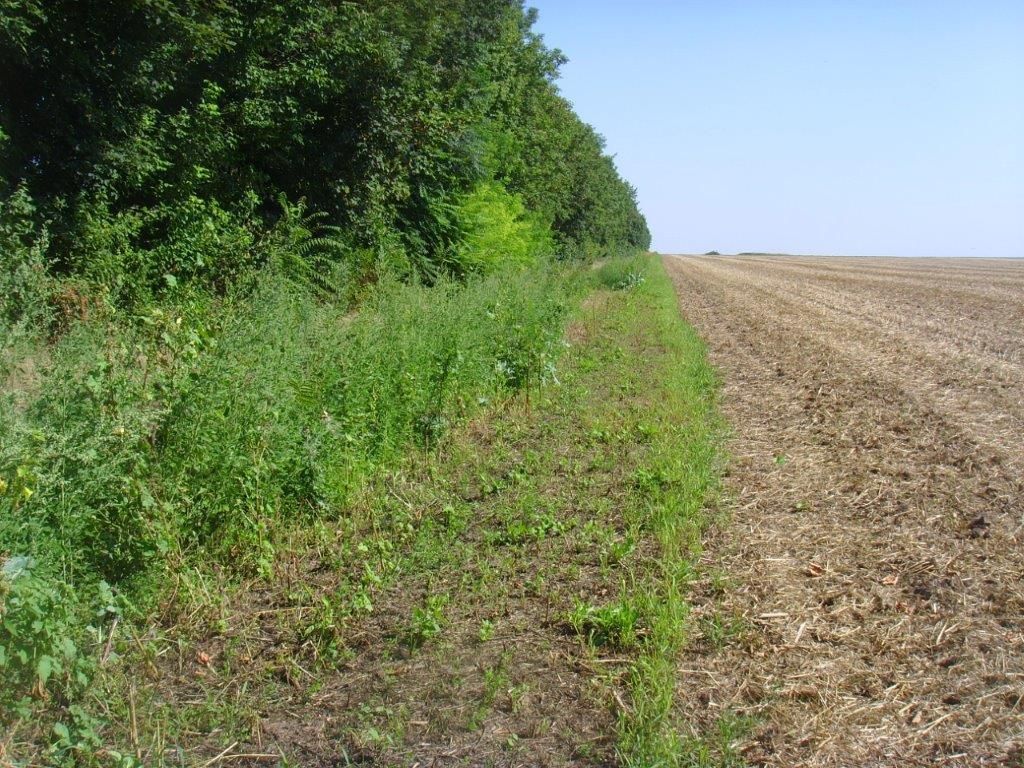© Johann Sperber/LK Niederösterreich © Johann Sperber/LK Niederösterreich