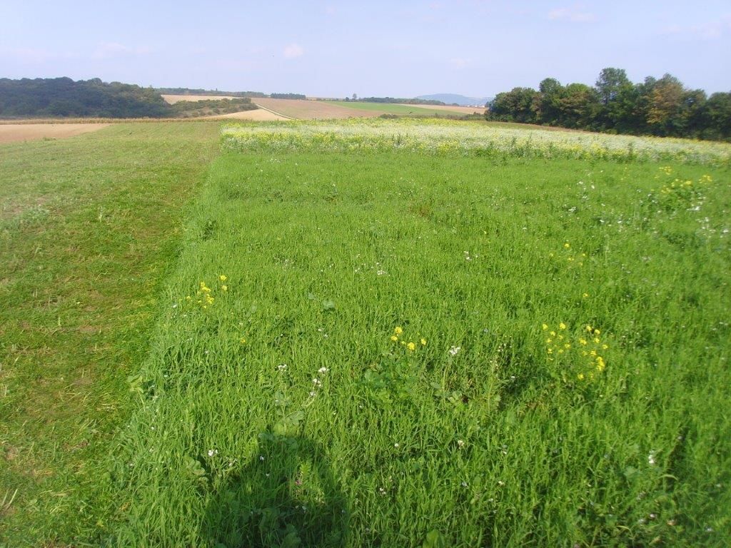 © Johann Sperber/LK Niederösterreich © Johann Sperber/LK Niederösterreich