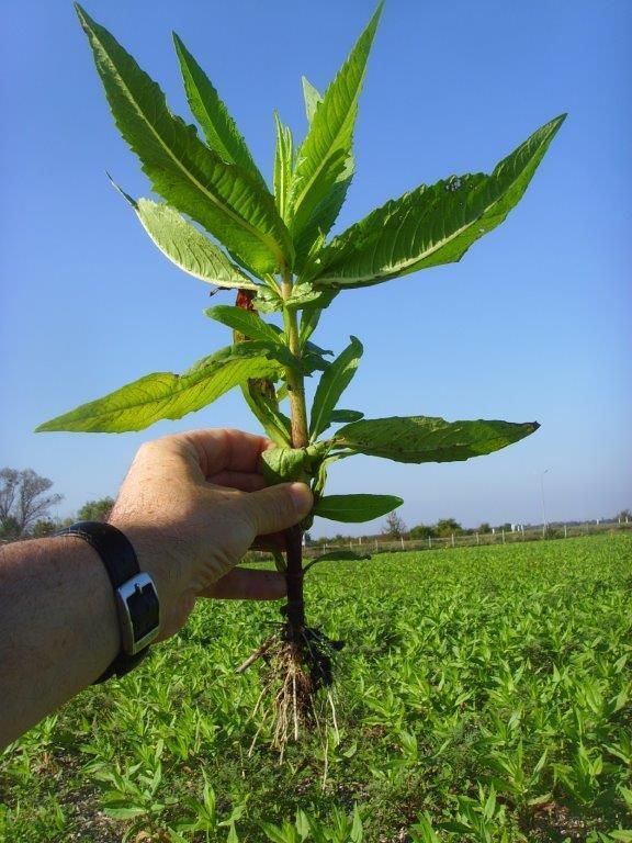 © Johann Sperber/LK Niederösterreich © Johann Sperber/LK Niederösterreich