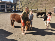IMG_20210330_152311.png © Nicole Greiderer IMG_20210330_152311.png © Nicole Greiderer