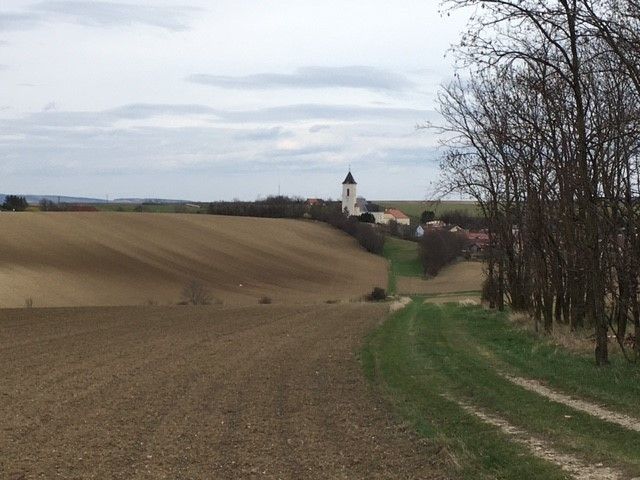 © Andrea Uhl LK NÖ © Andrea Uhl LK NÖ