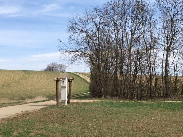 © Andrea Uhl LK NÖ © Andrea Uhl LK NÖ