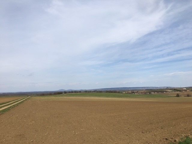 © Andrea Uhl LK NÖ © Andrea Uhl LK NÖ