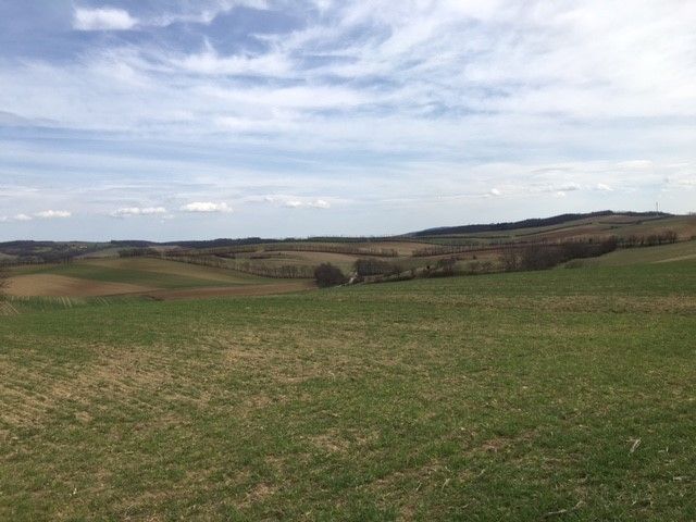 © Andrea Uhl LK NÖ © Andrea Uhl LK NÖ