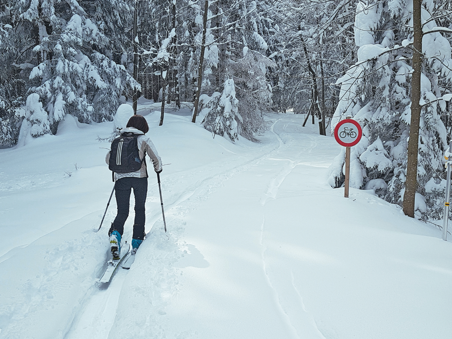 Freies Wegerecht vs. Schutz von Wald und Wild.png © Lienbacher