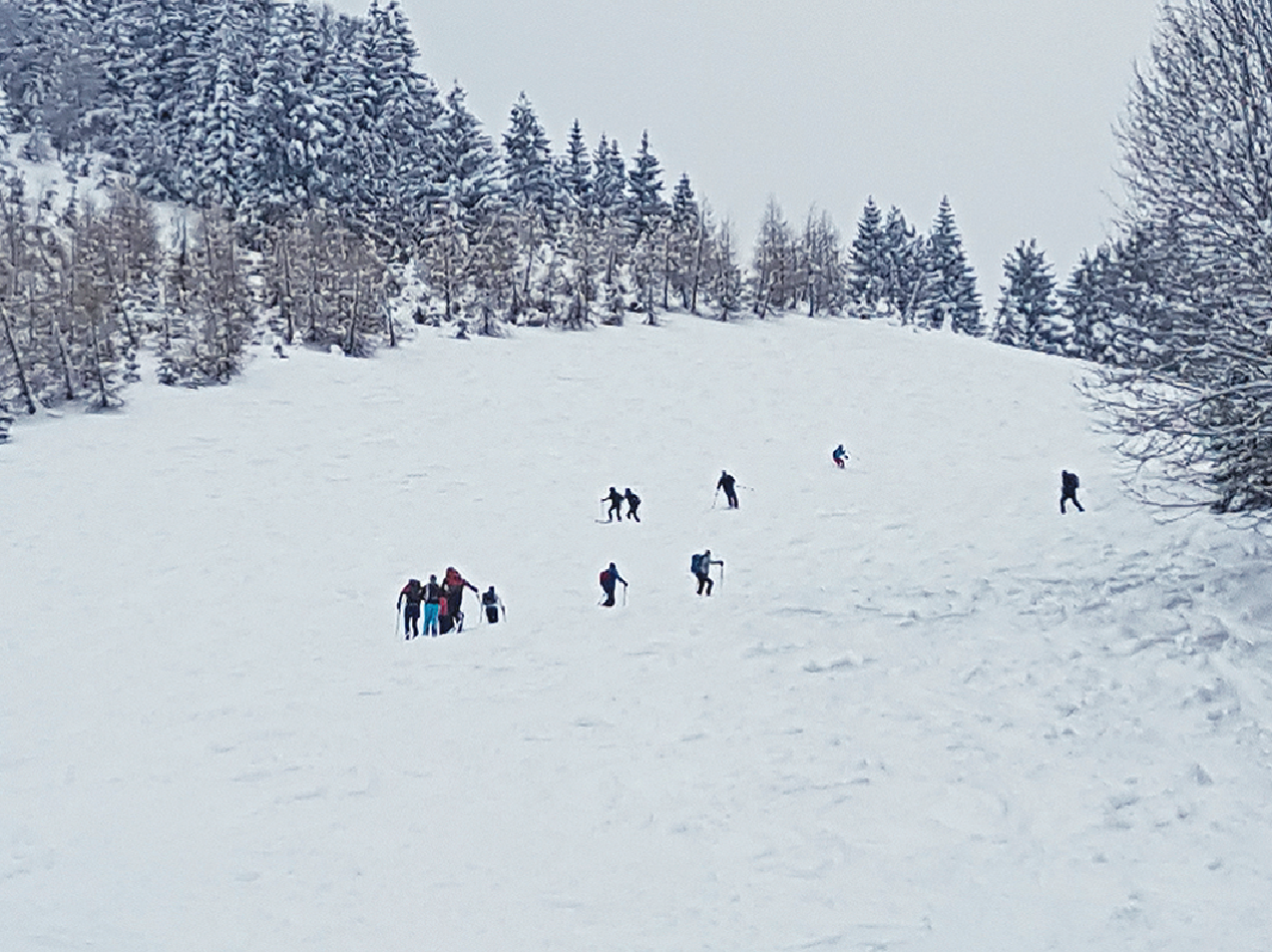 Freies Wegerecht vs. Schutz von Wald und Wild.png © Archiv Freies Wegerecht vs. Schutz von Wald und Wild.png © Archiv