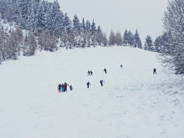 Freies Wegerecht vs. Schutz von Wald und Wild.png © Archiv