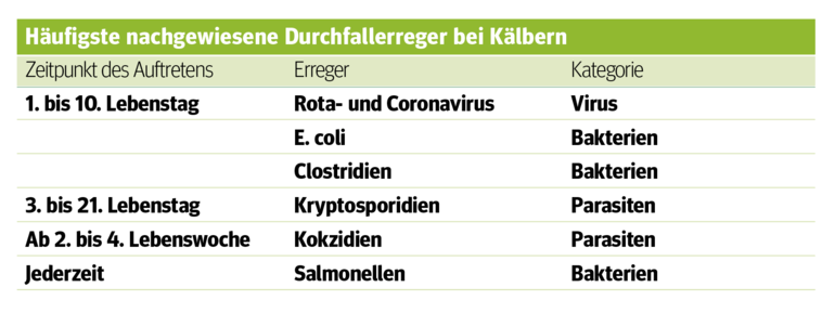 Durchfall – ein  lästiger Begleiter im Kälberstall.png © Archiv Durchfall – ein  lästiger Begleiter im Kälberstall.png © Archiv