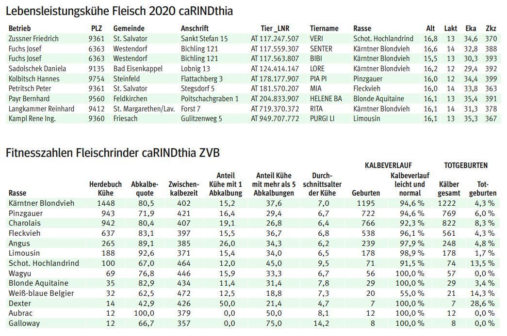 Fleischrinder.jpg © LK Kärnten/Kärntner Bauer Fleischrinder.jpg © LK Kärnten/Kärntner Bauer
